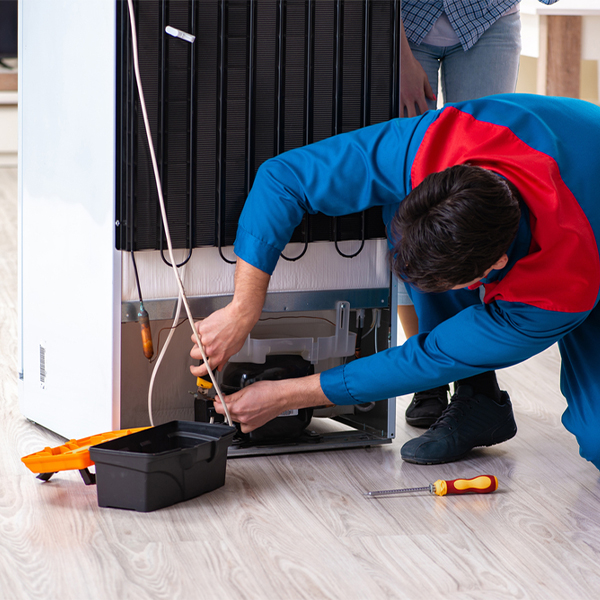 what are the common refrigerator repair services in Lake Zurich